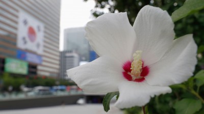 68957d553d6f3.jpg
