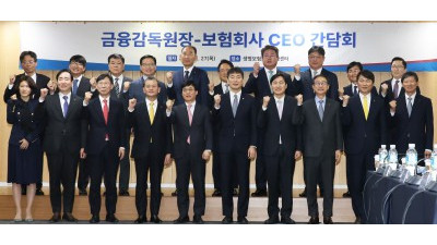 이복현 금감원장, 보험회사 CEO 간담회