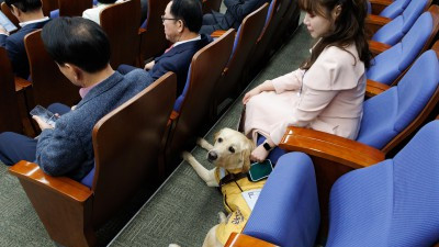 김예지 의원 새 안내견 '태백'이