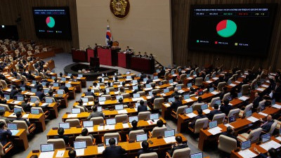 명태균 특검법 국회 본회의 통과