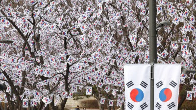 3·1절 앞두고 태극기 거리 산책
