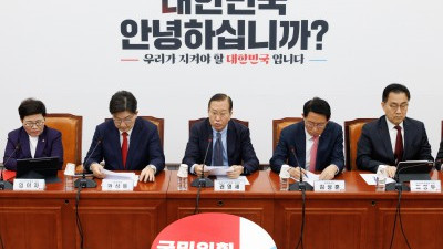 국민의힘 비상대책위원회의