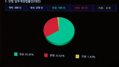 '상법 개정안' 국회 본회의 통과…與 거부권 행사 건의