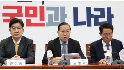 국민의힘 비상대책위원회의