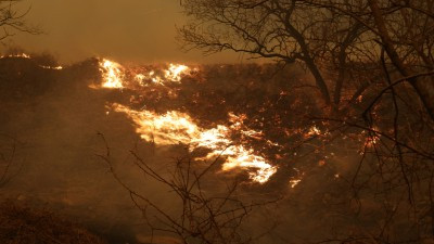 '안동 산불' 강풍에 '속수무책'