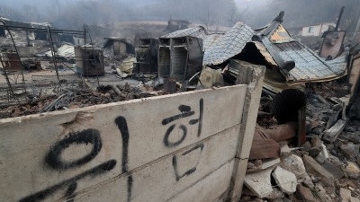 산불에 초토화된 영양군 민가
