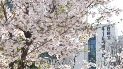 열한 번째 봄...세월호를 기억하나요?