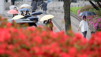 전국에 봄비 '흠뻑'