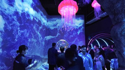  신규 테마존 ‘Sea at Night’ 선보인 씨라이프 코엑스 아쿠아리움