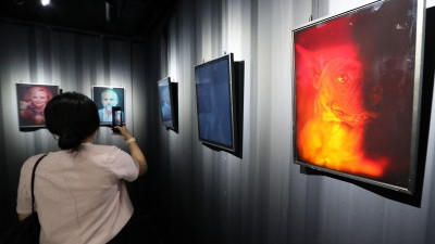 'K-디스플레이 2025' 개막