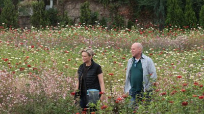 가을비 맞으며 꽃길 산책 