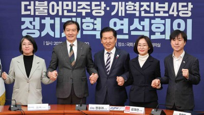 더불어민주당-개혁진보4당 정지개혁 연석회의