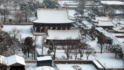 눈 덮인 경복궁