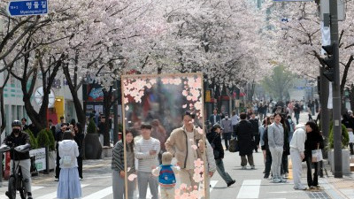 벚꽃 엔딩 아쉬워 하며~